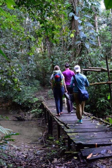 From San Cristóbal: Lacandona Jungle 3 Days Tour - Payment Options