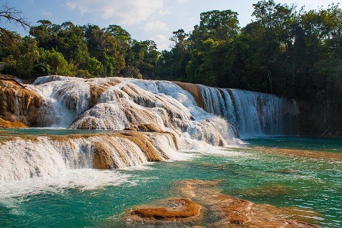 From San Cristobal Tour to Agua Azul, Misol Ha and Palenque - Insights from Reviewers