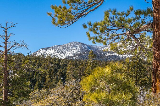 From San Diego: Two-Day Camping and Hiking Adventure in Idyllwild - A Practical Overview of the Experience