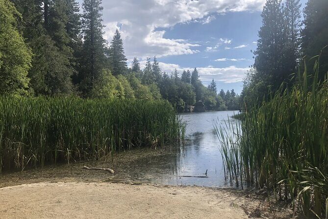 From San Diego: Two-Day Camping and Hiking Adventure in Idyllwild - What Might Be a Drawback?