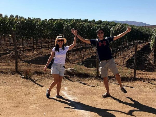 From San Diego: Valle De Guadalupe Private Wine Tasting Tour - Boutique Winery Tastings