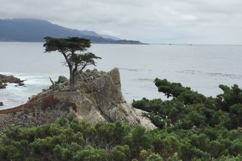 From San Francisco: Carmel, Monterey & Big Sur Private Tour - Good To Know