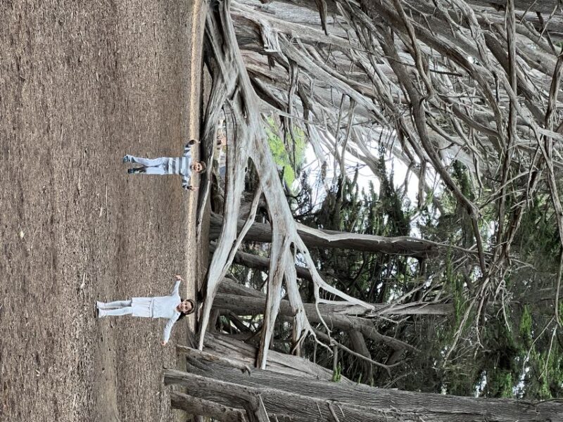 From San Francisco: Carmel, Monterey & Big Sur Private Tour - Practical Tips for Travelers