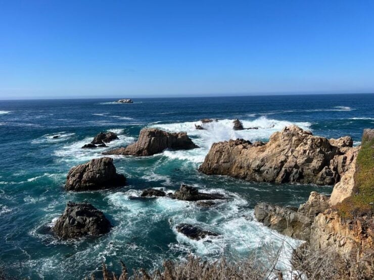 From San Francisco: Carmel, Monterey & Big Sur Private Tour - Activity Details