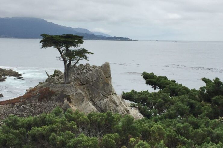 From San Francisco: Carmel, Monterey & Big Sur Private Tour - Experience Highlights