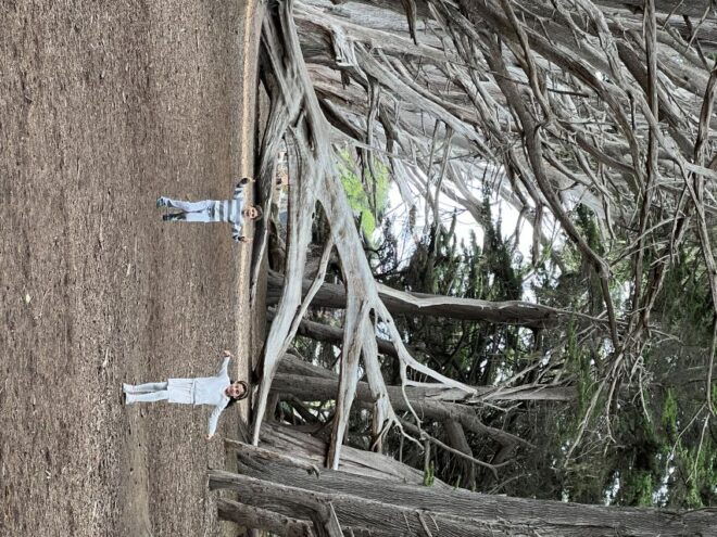 From San Francisco: Carmel, Monterey & Big Sur Private Tour - Scenic Drive Along State Route 1