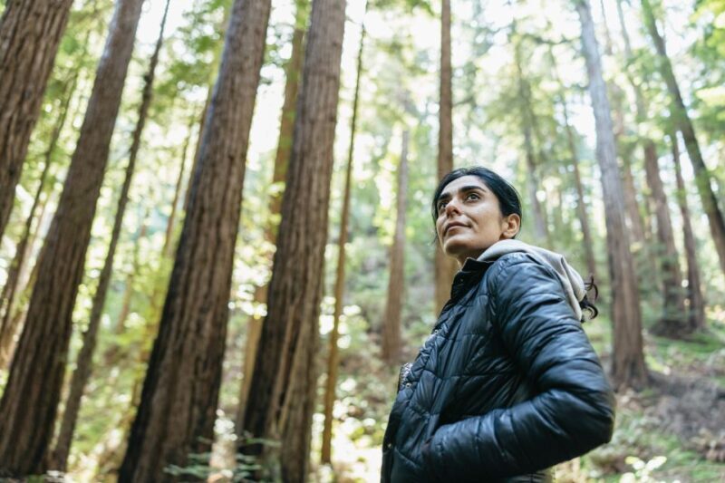 From San Francisco: Guided Muir Woods Tour - Good To Know