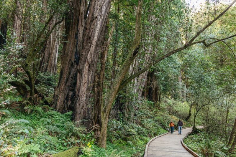 From San Francisco: Guided Muir Woods Tour - FAQ