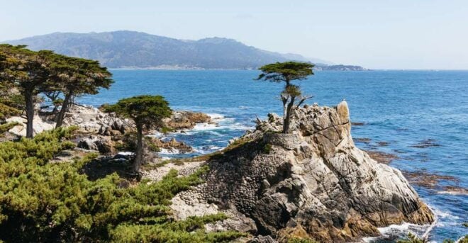 From San Francisco: Monterey and Carmel Day Tour - Itinerary Highlights