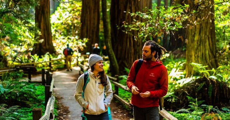 From San Francisco: Muir Woods and Sausalito Half-Day Trip - Muir Woods National Monument