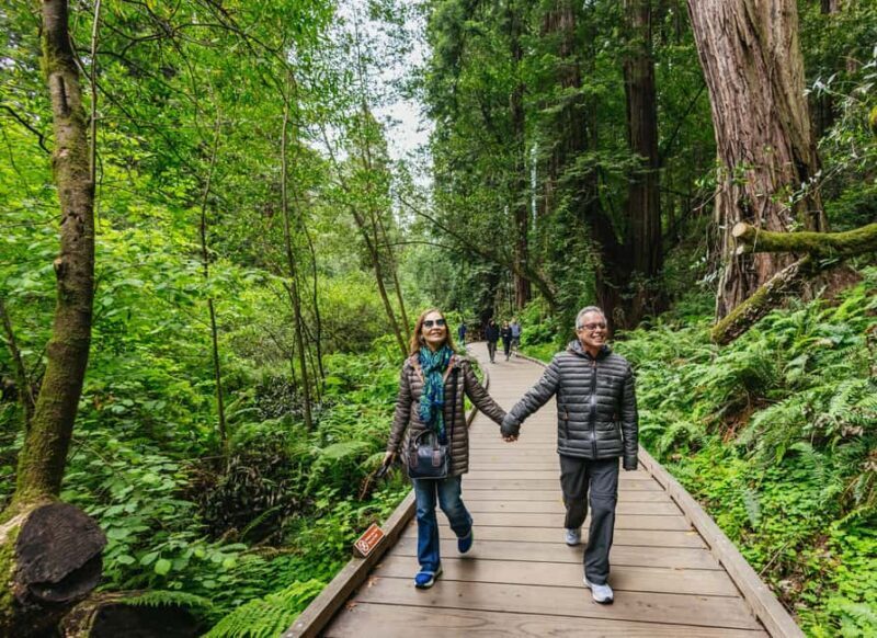 From San Francisco: Muir Woods, Sausalito and Alcatraz Tour - Authentic Experiences and Critical Insights