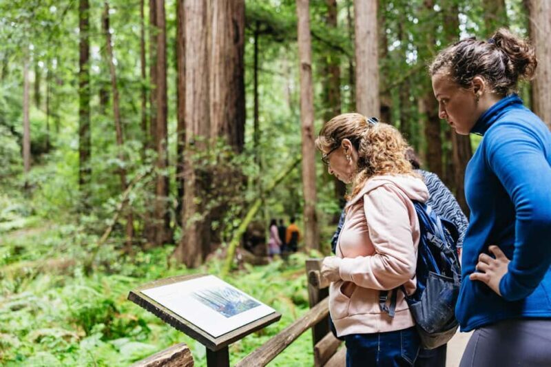 From San Francisco: Muir Woods, Sausalito and Alcatraz Tour - Who Is This Tour Best For?