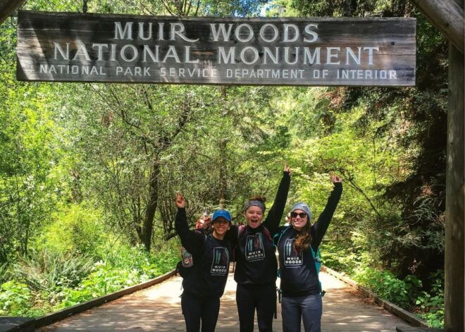 From San Francisco: Muir Woods Wine Tour With Napa & Sonoma - Additional Information