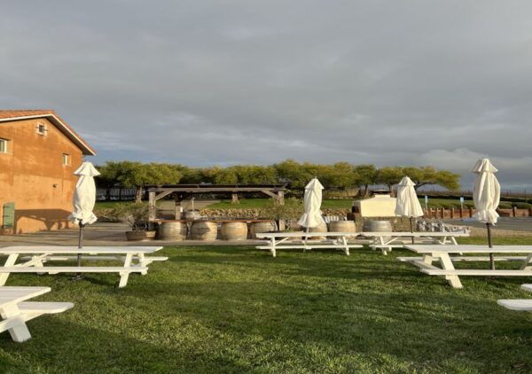 From San Francisco: Napa and Sonoma Private Wine Tour - Tour Itinerary