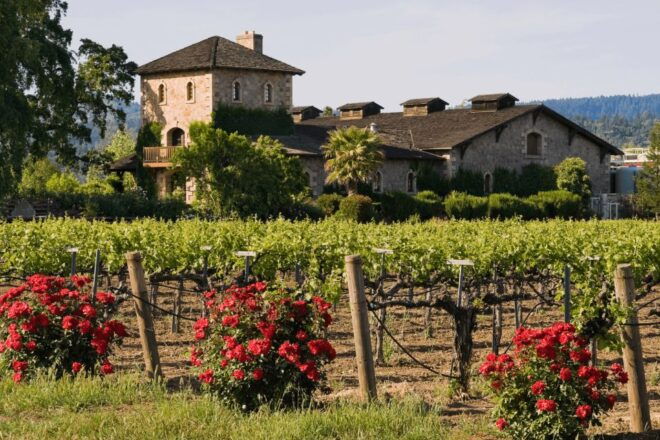 From San Francisco: Napa & Sonoma Wine Country Private Tour - Learn About Winemaking
