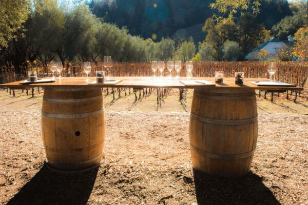 From San Francisco: Napa & Sonoma Wine Country Private Tour - Scenic Journey Back to San Francisco