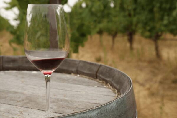 From San Francisco: Napa & Sonoma Wine Country Private Tour - Additional Information