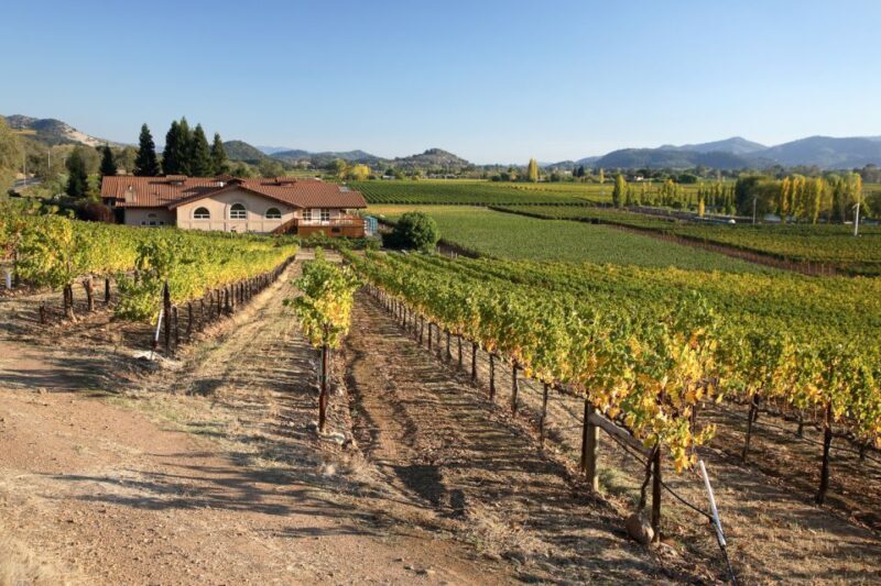 From San Francisco: Napa Valley Private Tour - Exploring the Napa Valley Private Tour in Detail