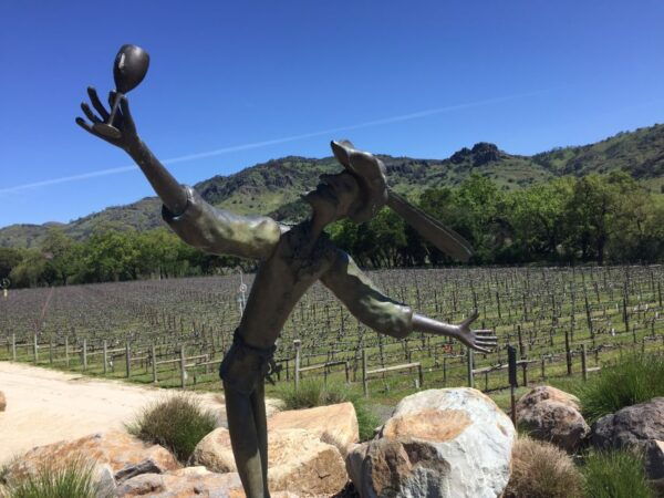 From San Francisco: Napa Valley Private Tour - The Sum Up
