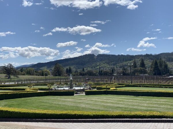 From San Francisco: Napa Valley & Sonoma Private Wine Tour - Inclusions and Transportation