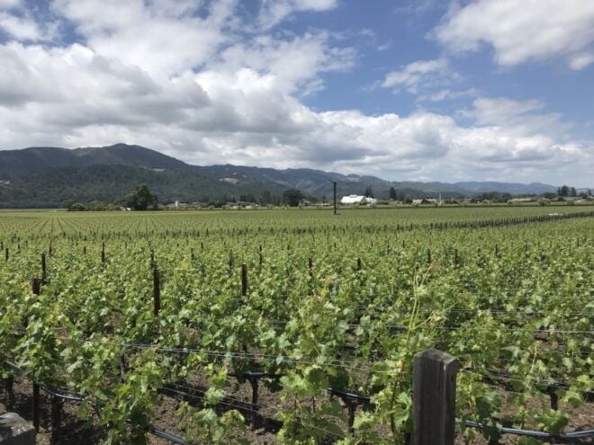 From San Francisco: Private Beer and Wine SUV Tour - Chauffeured Trip With Pickup From San Francisco
