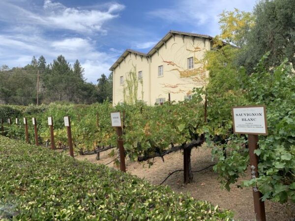 From San Francisco: Private Beer and Wine SUV Tour - The Sum Up