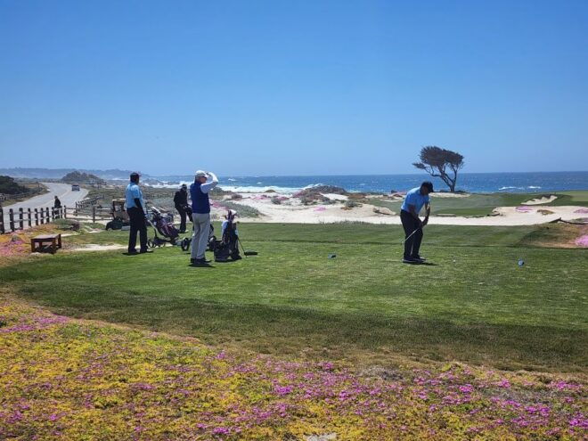 From San Francisco: Private Monterey Tour With Pebble Beach - Monterey Bay Aquarium