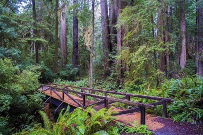 From San Francisco: Private Muir Woods and Napa Wine Tour - Additional Information