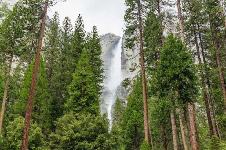 From San Francisco: Yosemite National Park Guided Day Trip - Activity Details