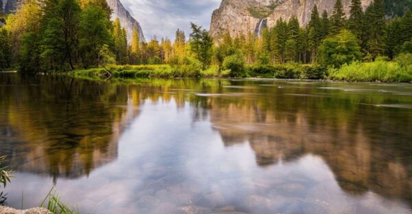 From San Francisco: Yosemite National Park Private Day Tour - Free Time in Yosemite Valley