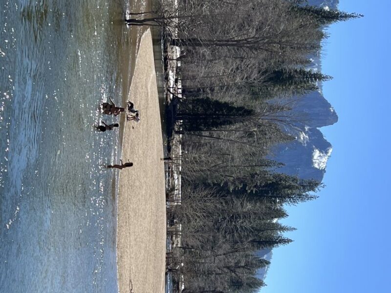 From San Francisco: Yosemite Private Full-Day Trip - Who Should Book This Tour?