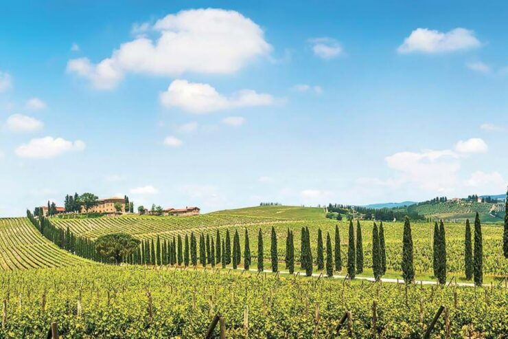 From San Gimignano: Chianti by E-Bike With Wine Tasting - Highlights