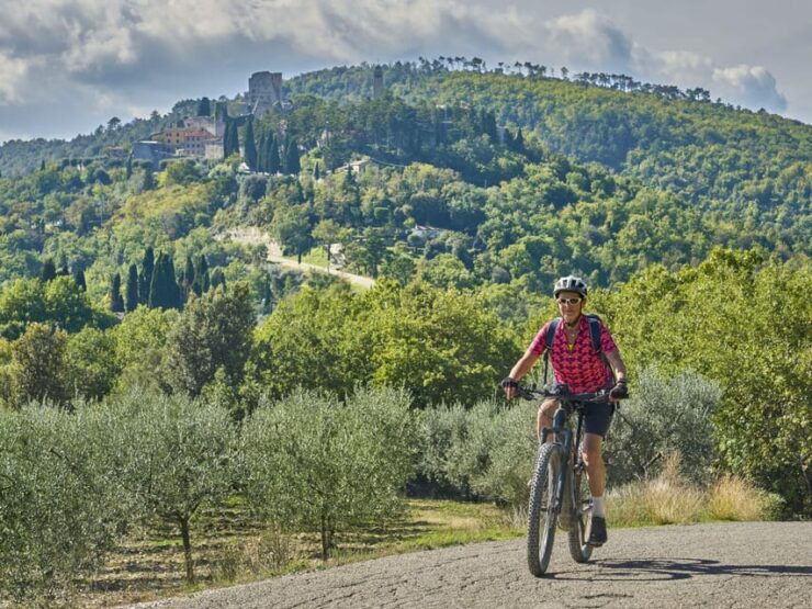 From San Gimignano to Volterra E-Bike Tour+Transfer Service - Good To Know