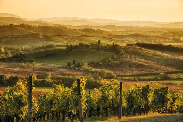From San Gimignano: Vintage Fiat 500 Self-Drive Chianti Tour - Activity Details