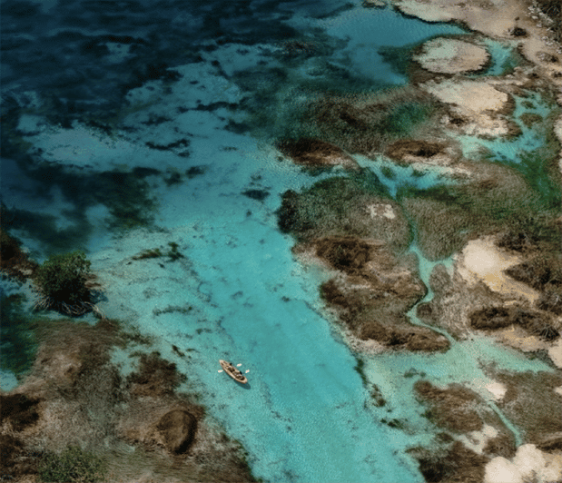 From San Ignacio: One Way Share Transfer to Bacalar - Comfortable Travel Experience
