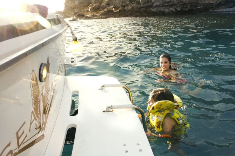 From San Juan Beach : Marine Life Cruise - Highlights of the Experience