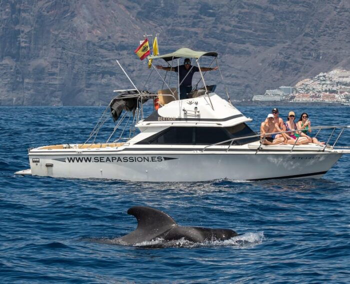 From San Juan Beach : Marine Life Cruise - Guide and Captain Qualifications
