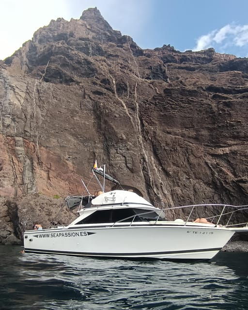From San Juan Beach : Marine Life Cruise - Customer Feedback and Ratings
