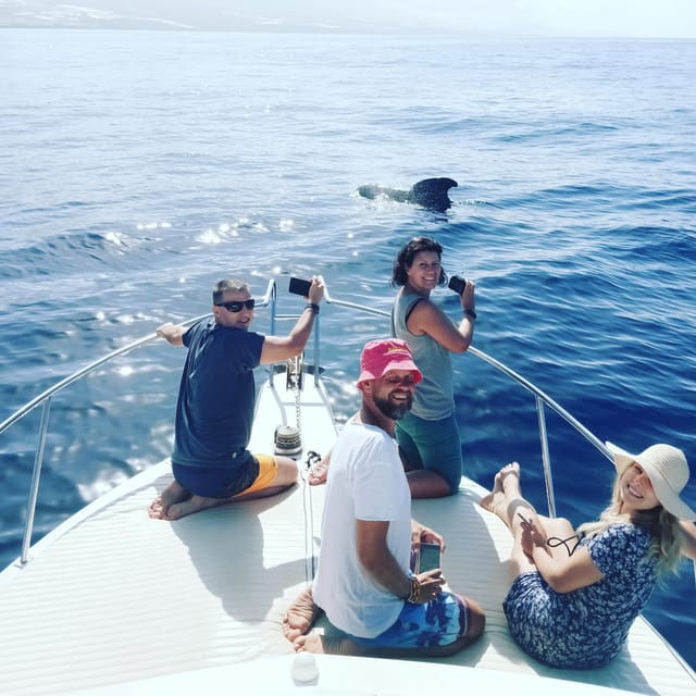 From San Juan Beach : Marine Life Cruise - Booking Details and Policies
