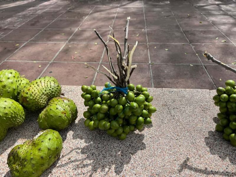 From San Juan: Full-Day Cultural Road Trip to Ponce - Food, Drinks, and Cultural Experiences