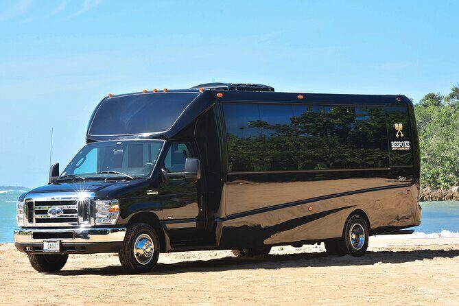 From San Juan: Roundtrip Shuttle to Bad Bunny Concert - A Deep Dive into the Experience