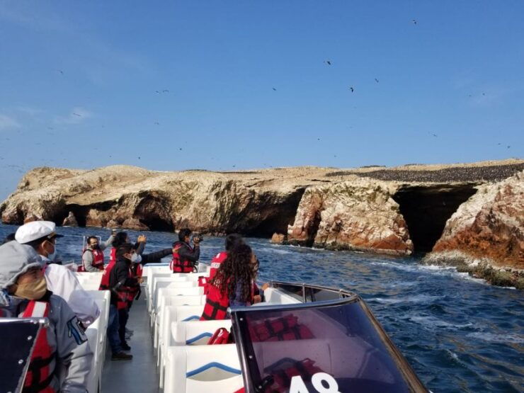 From San Martin Port: 2-Hour Ballestas Island - Wildlife Encounter at Ballestas Island