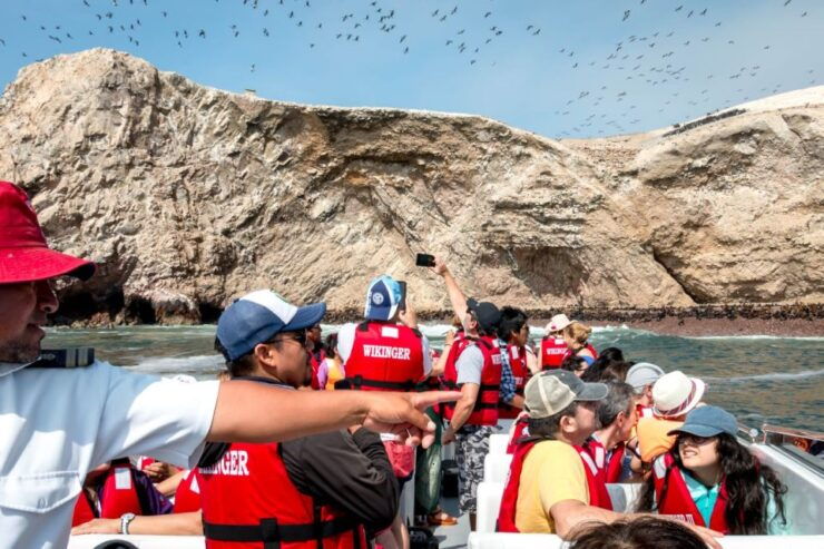 From San Martin Port: Ballestas Island & Paracas Reserve - Booking Details