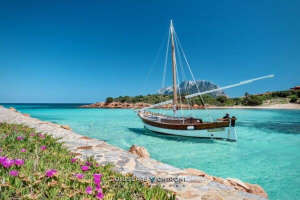 From San Paolo: Tavolara and Molara Island Cruise With Lunch - Frequently Asked Questions