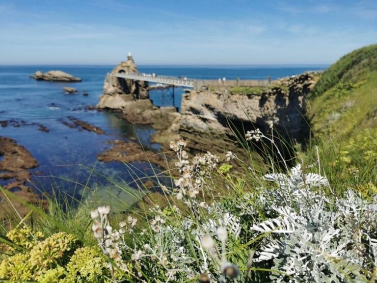 From San Sebastian: Biarritz & French Basque Coast Day Trip - Overview of the Biarritz & French Basque Coast Day Trip