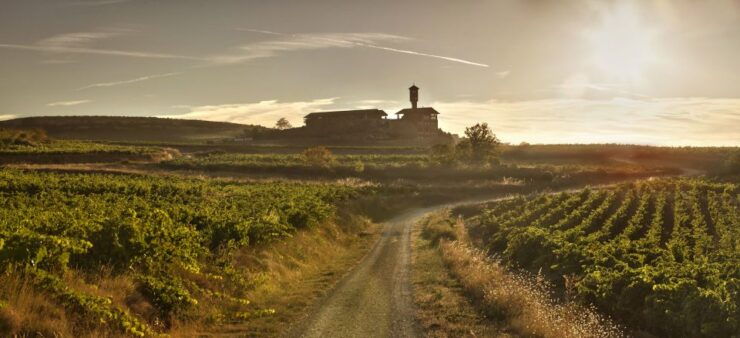 From San Sebastian/Bilbao/Vitoria: La Rioja Wineries Tour - Tour Duration and Flexibility