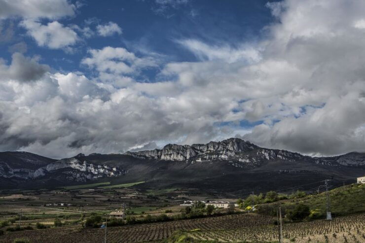 From San Sebastian/Bilbao/Vitoria: La Rioja Wineries Tour - Language Options and Guides