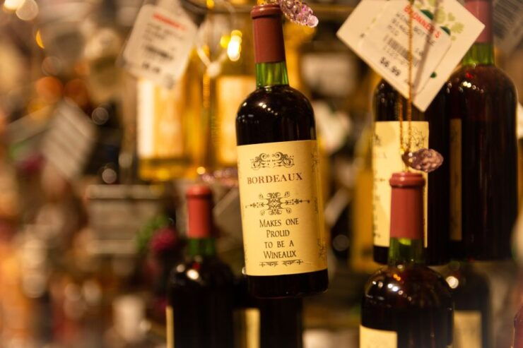 From San Sebastián: Bordeaux & Winery Private Guided Tour - Experience Highlights
