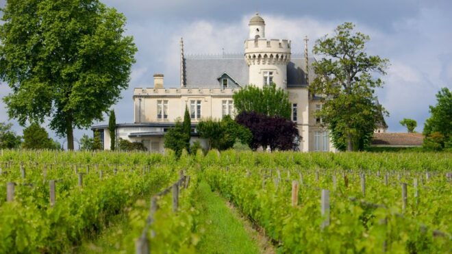 From San Sebastián: Bordeaux & Winery Private Guided Tour - Tour Description