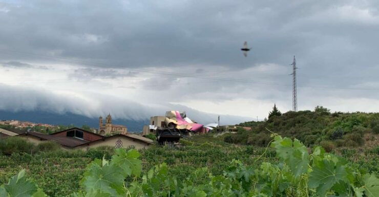 From San Sebastian: Rioja Wine Tour - Experience Highlights